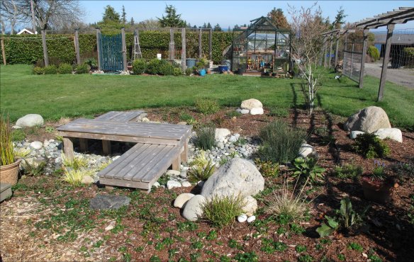 raingarden early spring