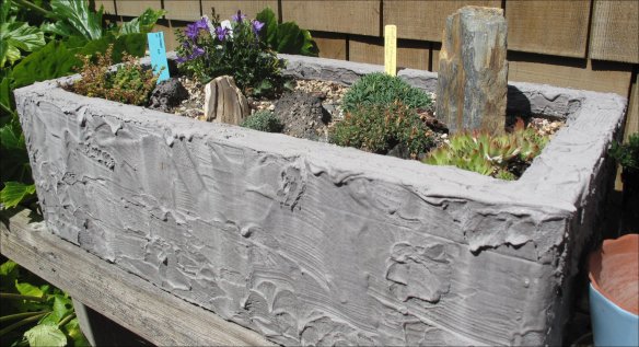 Alpine Trough Sedums, Campanula, Dianthus and Sempervivums