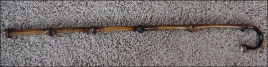 walking stick cane2