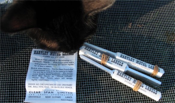 Zoe looking for more info 