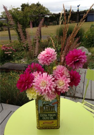 Dahlias with going to seed grass and parsley