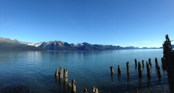 Resurrection Bay Seward, AK